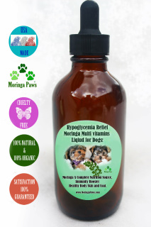 Moringa Liquid Extracts For Pets! - MORINGA PAWS* MORINGA FOR DOGS*SUPERFOOD ANTIOXIDANTS